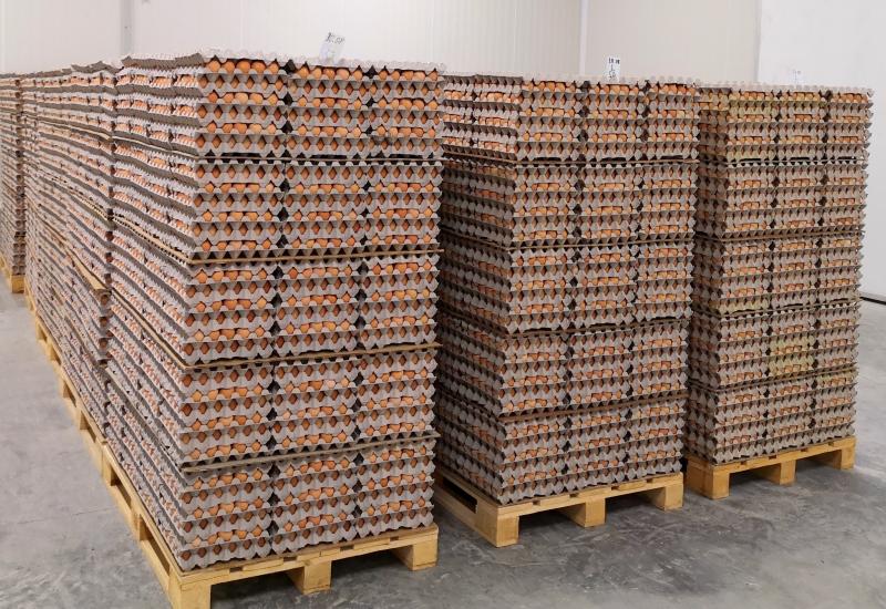  - Bosanskohercegovački proizvođači jaja postaju neovisniji